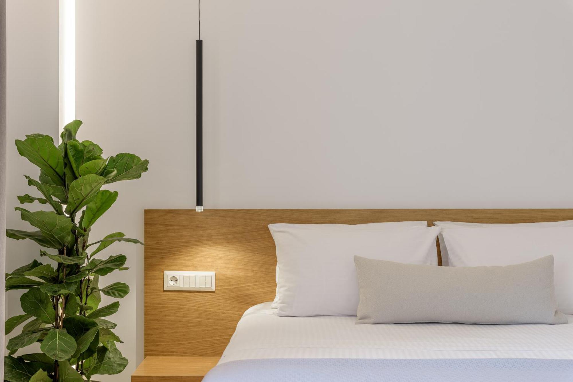 אתונה Central Sunny Loft With Plunge Pool מראה חיצוני תמונה